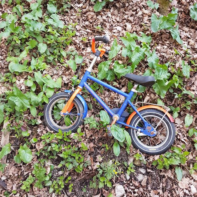 An der zweiten Klinge in Richtung Morsbach entledigte sich jemand dieses Kinderfahrrades - ein denkbar schlechtes Vorbild für die Kleinen!
