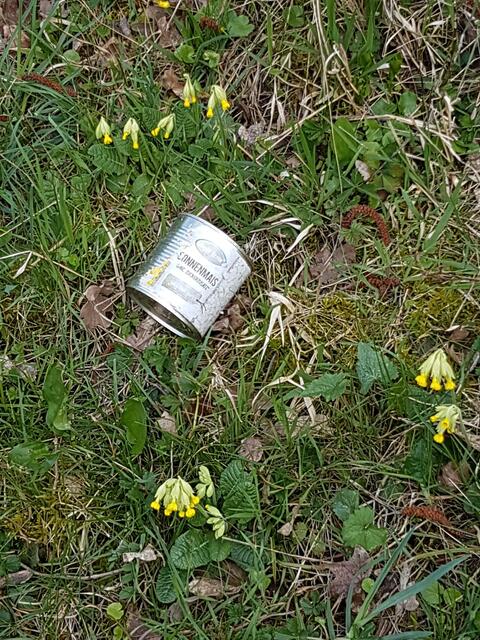 Nahe beim Biotop: eine Dose, die mal Zuckermais enthielt