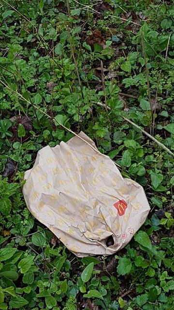 Noch am wenigsten schlimm, aber trotzdem eine Verunstaltung der schönen Natur: Imbisstüte von MD ganz aus biologisch abbaubarem Papier. Unten in der Ecke hat es sich eine braune Nacktschnecke gemütlich gemacht...