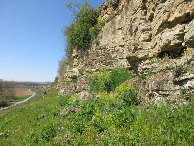 Die Gaby ist mit einer Gästin zwischen Horkheim und Lauffen unterwegs gewesen am Freitag, 23. April.