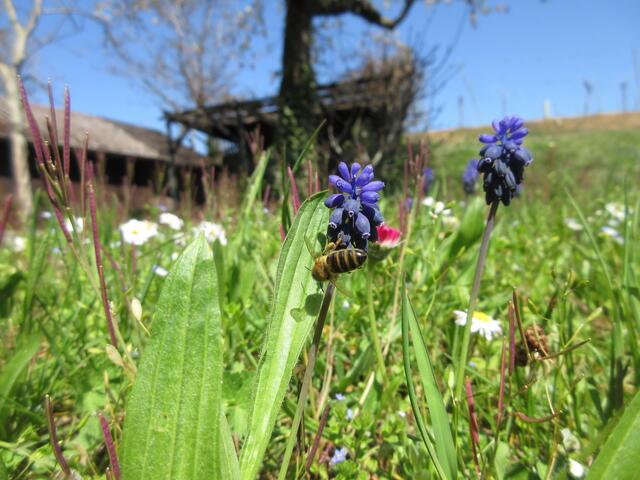 Ein wunderschöner Frühlingstag
