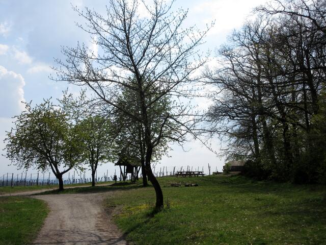 Gleich ist die Berghütte erreicht.