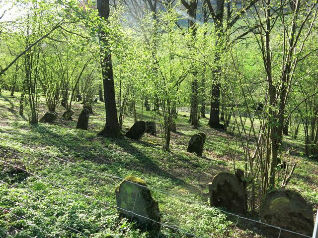 Schiefe Grabsteine im Obersulmer Judenfriehof.