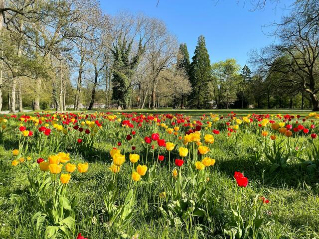 Pfühlpark Heilbronn Heilbronn