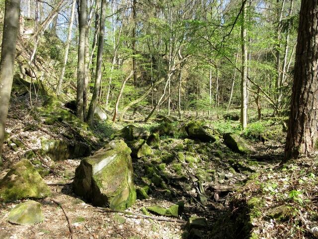 Eine besondere Ansicht im Steinbruch. Hier baut jemand... komische Gebilde... Landart?