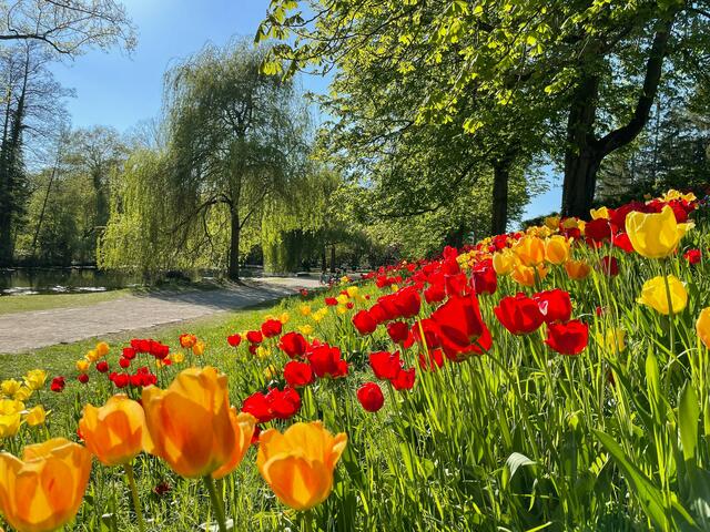 Pfühlpark Heilbronn Heilbronn