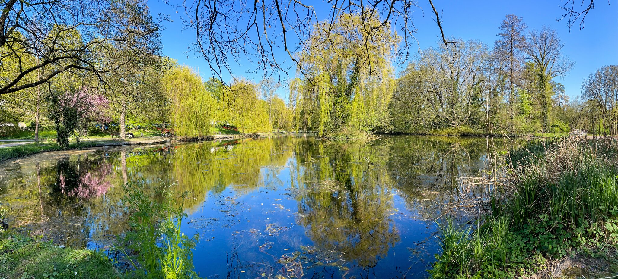 Pfühlpark Heilbronn Heilbronn