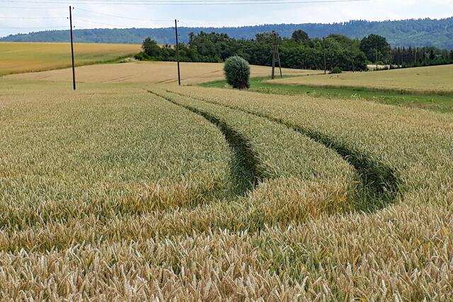 krumme Spur