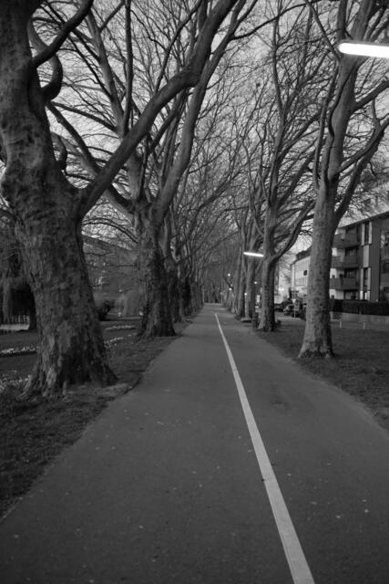 Neckarpromenade Heilbronn