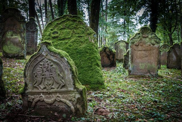 Jüdischer Friedhof in Bad Rappenau