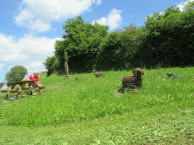 Im Juni 2015 waren wir beim "Schäferstündchen", da gab es auch noch Schafe dort. Der Rastplatz war noch ohne Dach.
