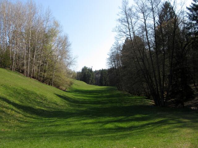 Sattes Grün auf den Wiesen, trotz der Trockenheit