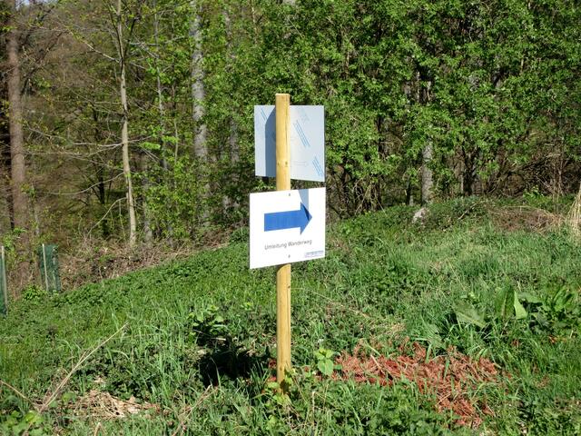 Umleitung mit wenig Informationen. Schade. Aber wir kommen im nächsten Jahr zur Schachblumenblüte auf jeden Fall wieder