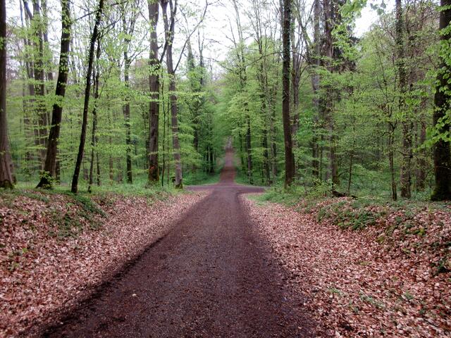 Wege im Kreuz - Kreuzweg - Besinnungspfad
