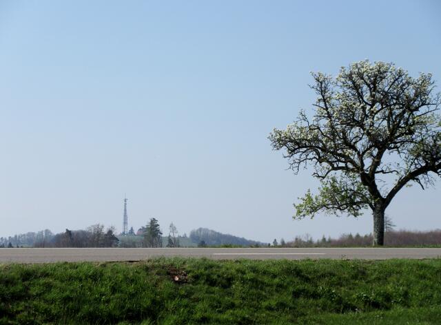 Gerade biegen wir in die Klostersteige ein und da ergibt sich dieser tolle Blick zurück zum Stocksberg
