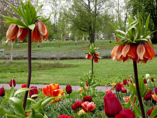 Das Labyrinth ist die 14. Stadtion des Besinnungsweges. Hier möchten wir nochmal herkommen, wenn der Lavendel blüht.