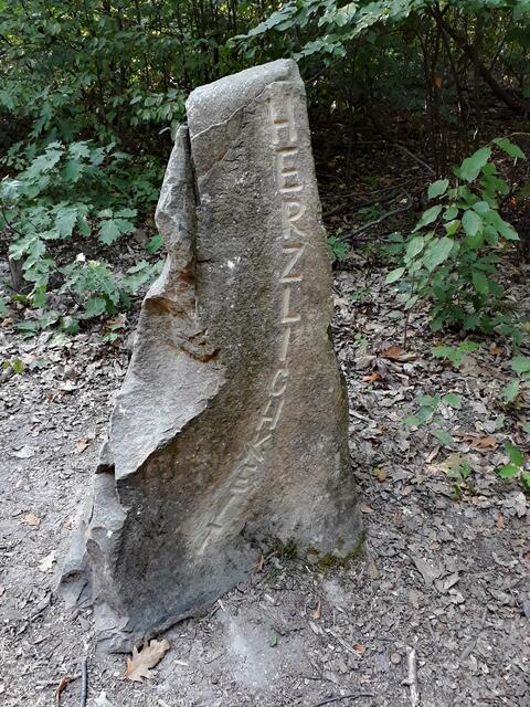 Im Jägerhauswald Heilbronn
