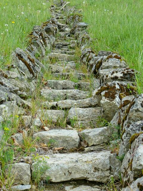 Alte Treppe im NSG Essigberg Roigheim
