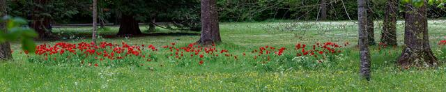 Im Pfühlpark