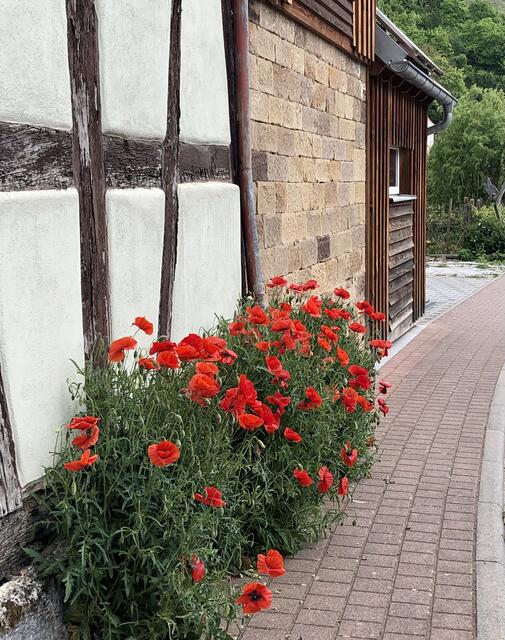 Farbtupfer