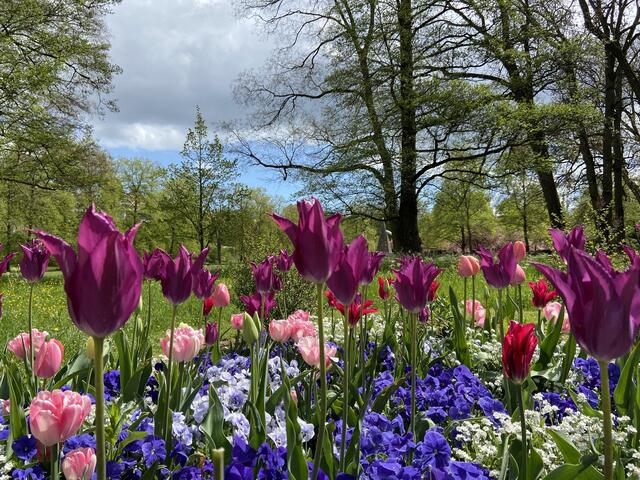 Pfühlpark Heilbronn