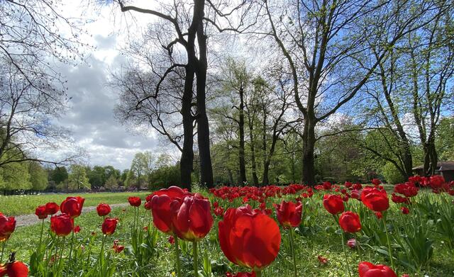 Pfühlpark Heilbronn