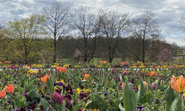 Kurpark Bad Rappenau