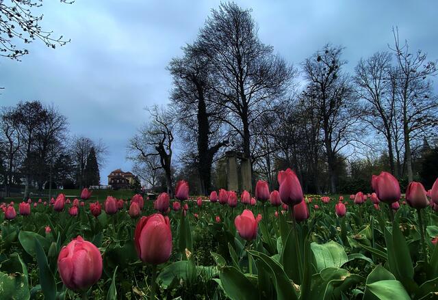 Hofgarten Öhringen