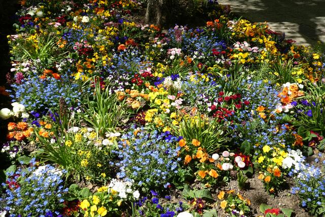 So bunt ist der Frühling