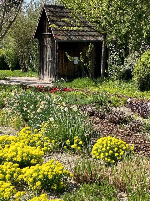 Frühling im Botanischen Obstgarten