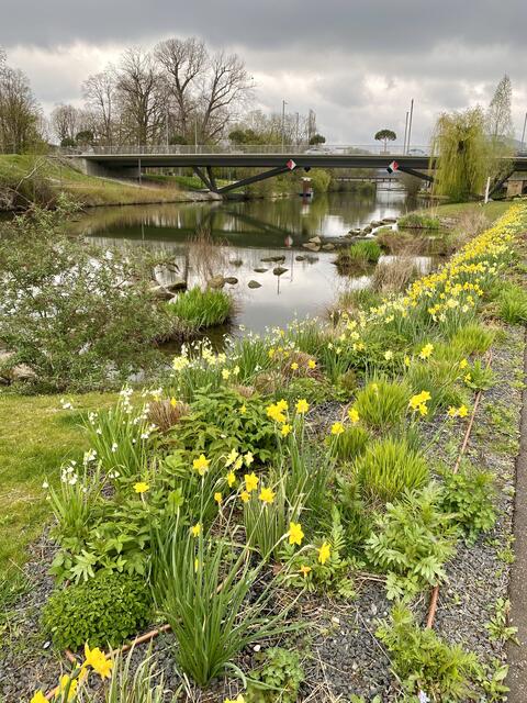 Frühling am Neckar