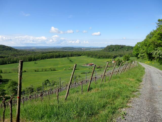 Der Blick von oben auf den Füllmenbacher Hof