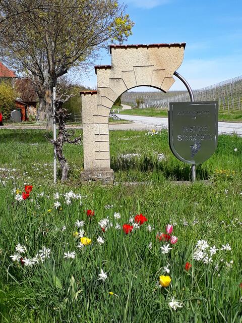 Blumenwiese am Ortseingang Stockheim