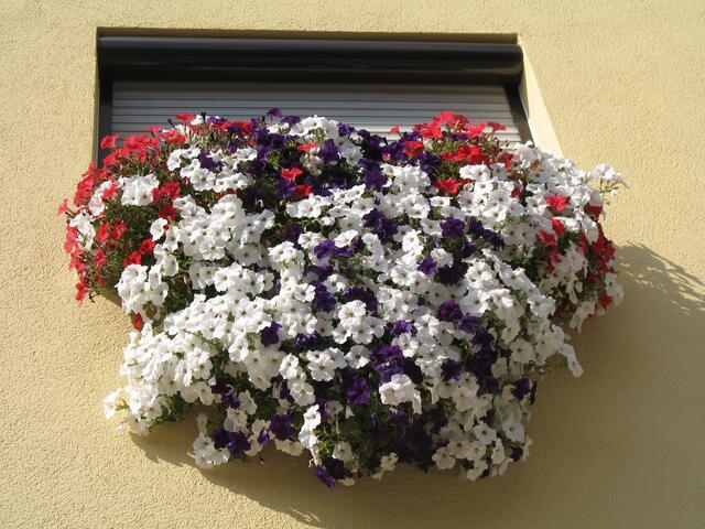 Fensterschmuck in Ötisheim