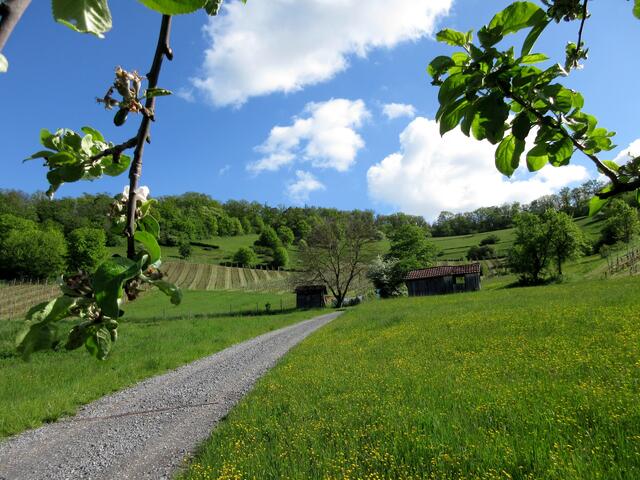 und später unten der Blick zurück auf das Naturschutzgebiet Füllmenbacher Hofberg. Das haben wir uns für später aufbewahrt.