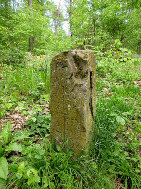 Leider ist der Stein etwas beschädigt. Da wir nicht allzu weit vom Kloster Maulbronn entfernt sind, steht das M B wohl dafür und in der Mitte der Abtstab