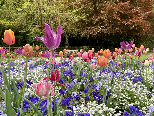 BUNT, BUNTER, Pfühlpark