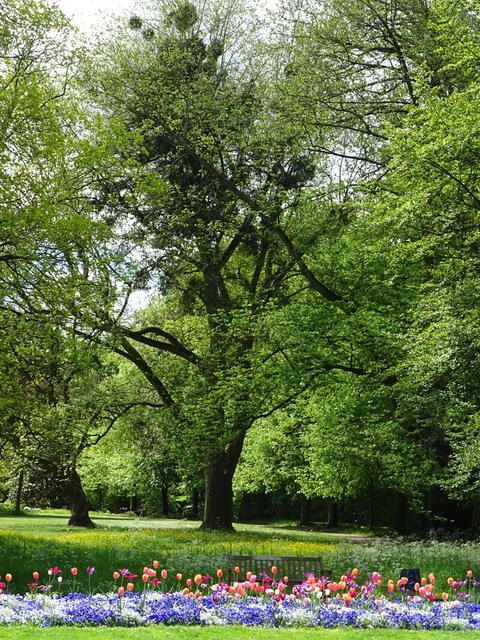 Pfühlpark wunderschön