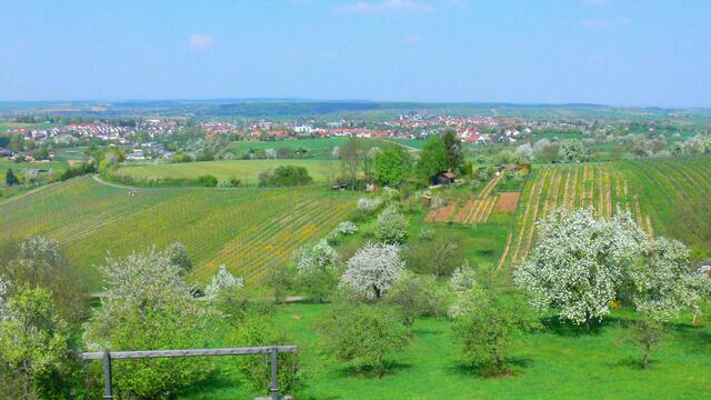 Kürnbach im blühenden Kraichgau