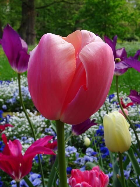 Alle Farben
