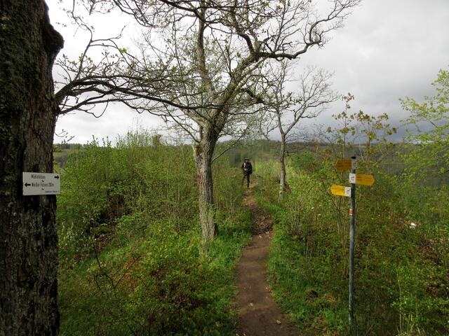 Der Mühlenfels
