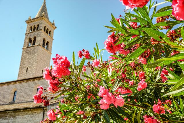 Sommer 2019 in Kroatien