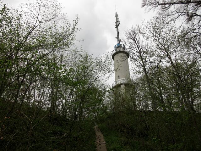 Der Schlossfelsenturm ist offen und kann bestiegen werden. Eine tolle Aussicht, sogar bei dem bewölkten Wetter konnte man den schneebedeckten Alpenhauptkamm ausmachen.