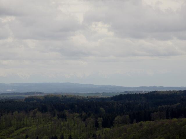 Wer ganz genau in der Vergrößerung schaut, sieht die schneebedeckten Bergspitzen in einer Linie über den dunklen Wäldern und unter den Wolken. Hier kam eine schmerzliche Sehnsucht auf. Es werden im August zwei Jahre, dass wir in Tirol waren.
