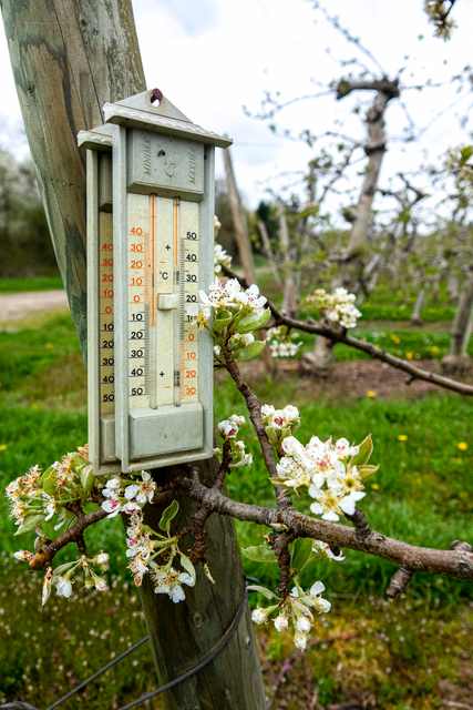 Temperatur...