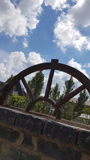 Rosmarin durchs Fenster