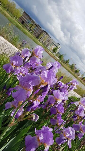 Schöne Aussicht