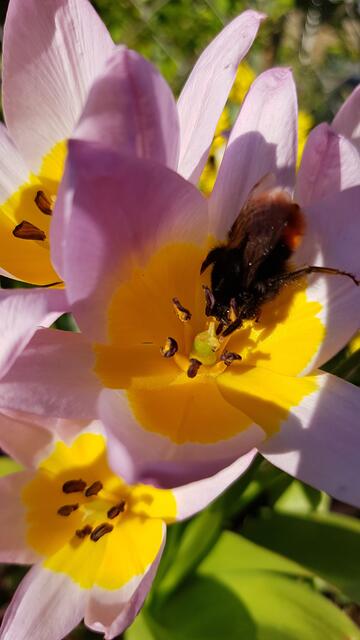 Frühling