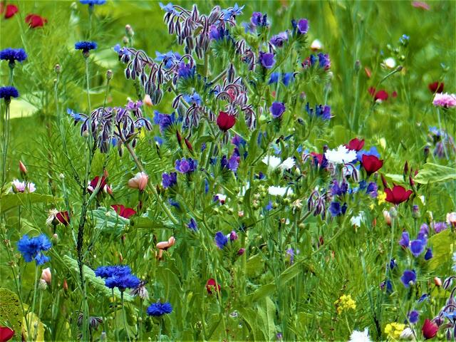 Gemminger Kreisel im Sommer