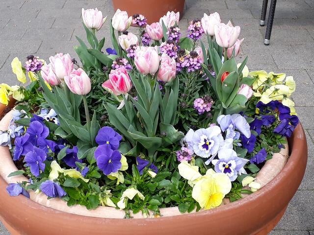 Heilbronner Blumenkübel